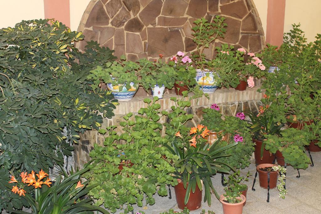 Maximiano Herculeo Córdoba Exteriör bild